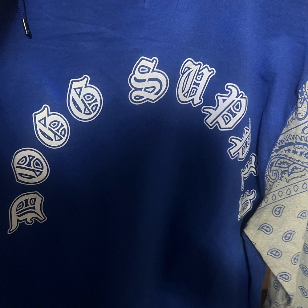 Blue Graphic Hoodie